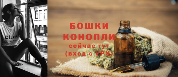 сатива Верея