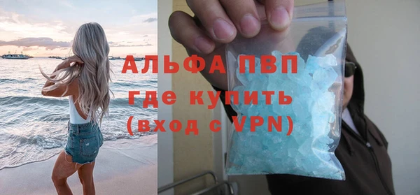 дживик Богородск