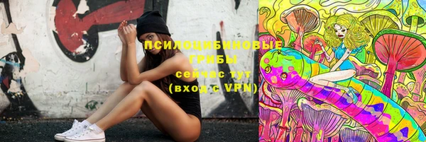 дживик Богородск