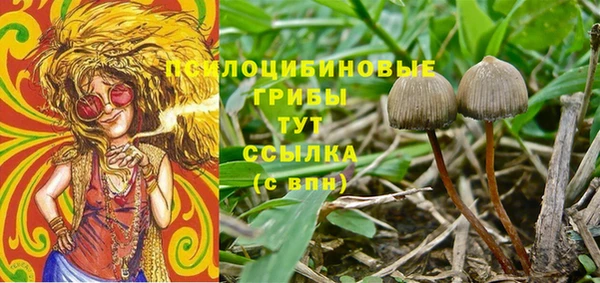 ПСИЛОЦИБИНОВЫЕ ГРИБЫ Богданович