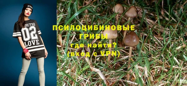 spice Бородино