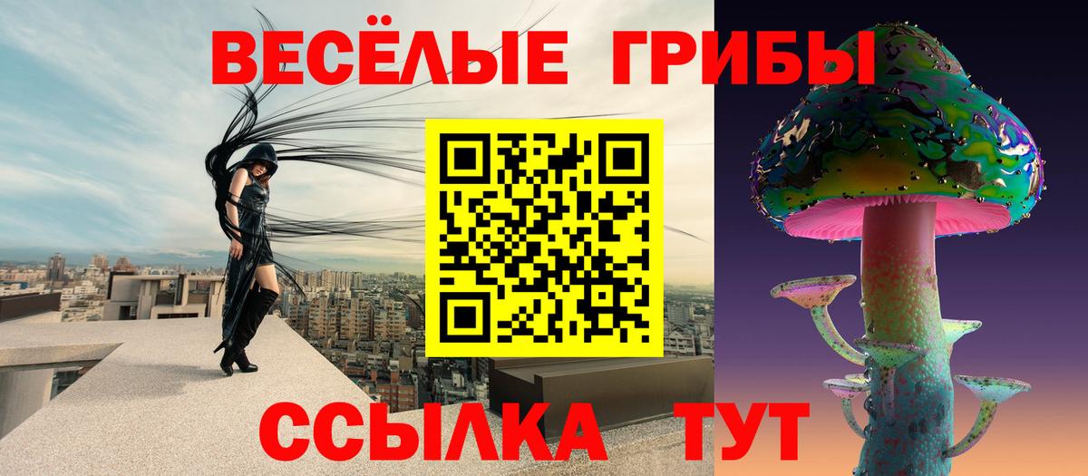 магазин продажи   Вход с VPN  Псилоцибиновые грибы MAGIC MUSHROOMS  Гулькевичи  Псилоцибиновые грибы прущие грибы 