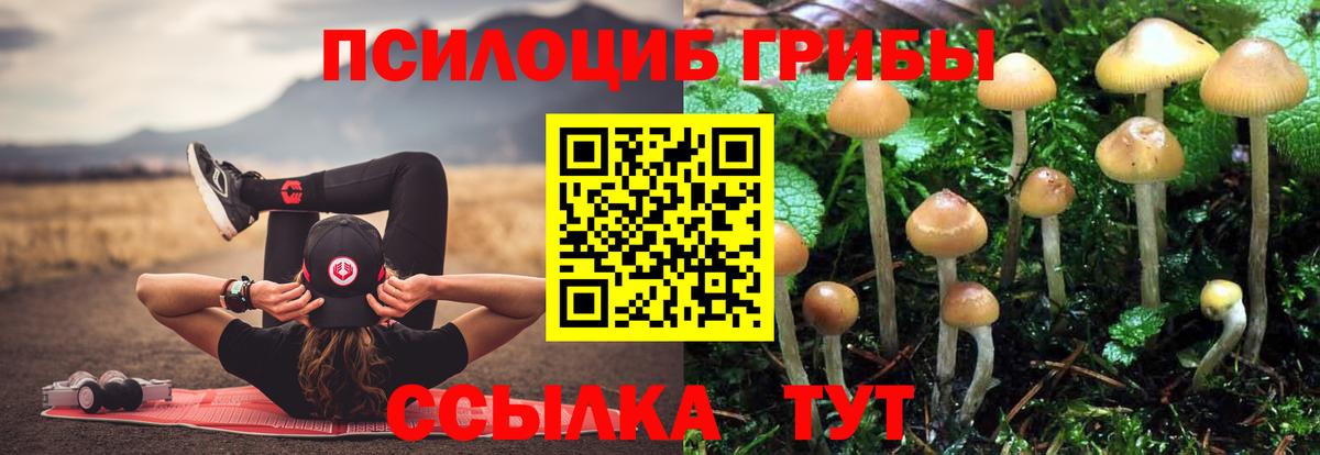 Псилоцибиновые грибы мухоморы Гулькевичи